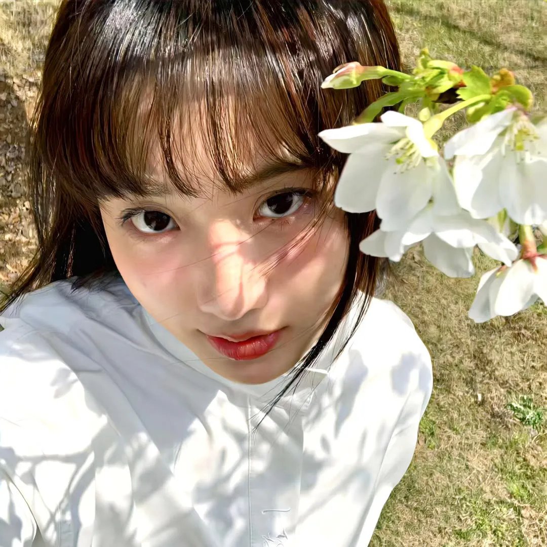 海啸与樱花